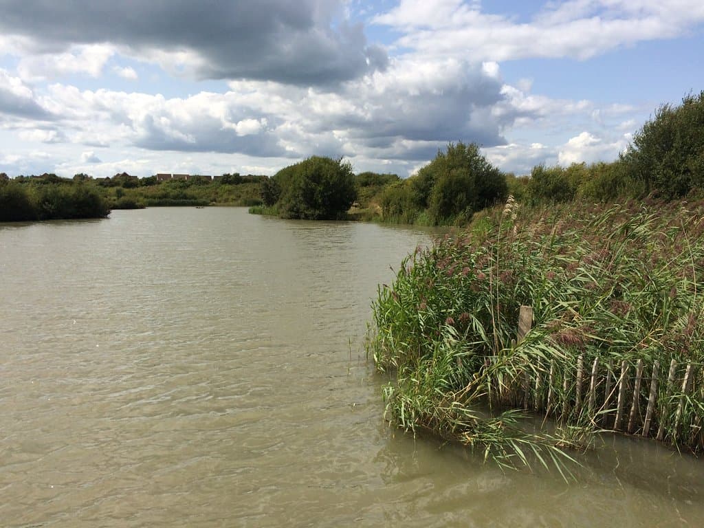 Lake in Alver Valley County Park 
