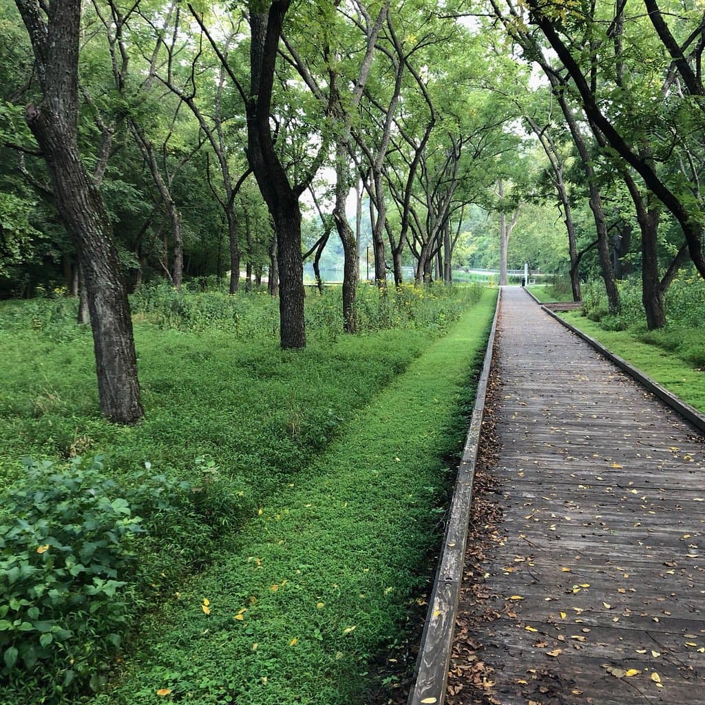 Lake Atalanta Park Trails