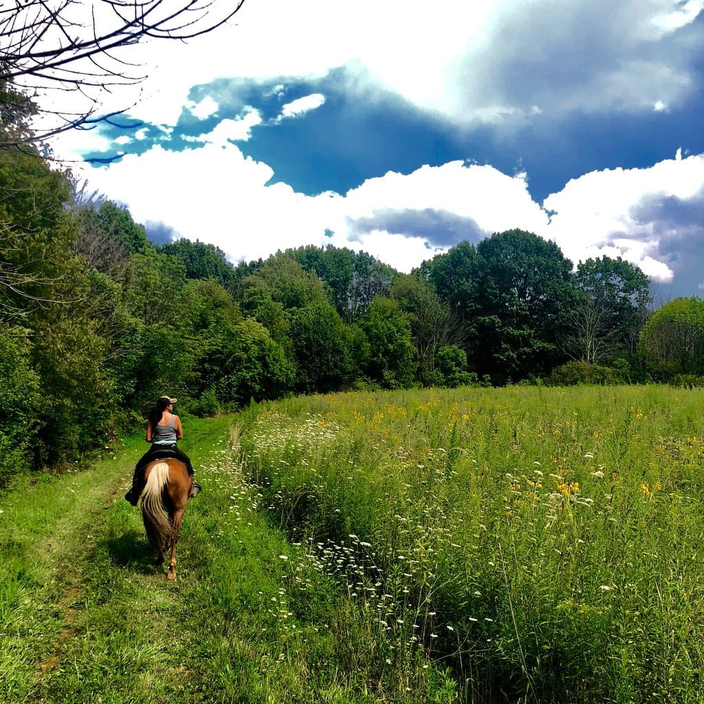 Silver Creek Metro Park