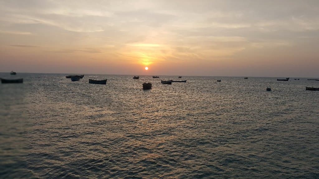 Gulf of Mannar Marine National Park