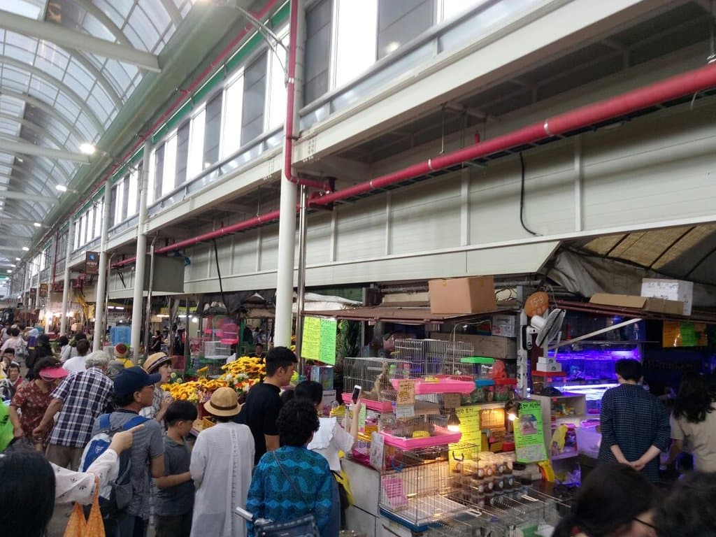 Jeju Traditional Market Jeju City
