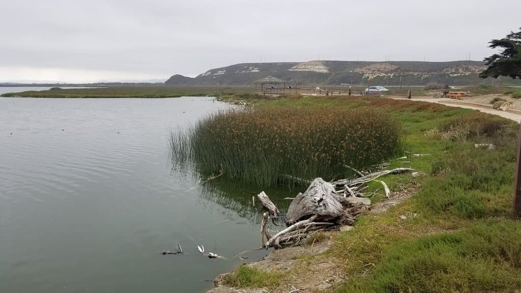 Ocean Beach County Park