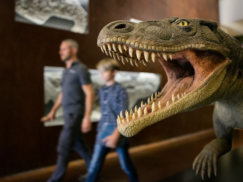 Ticinosuchus ferox - @Ticino Turismo