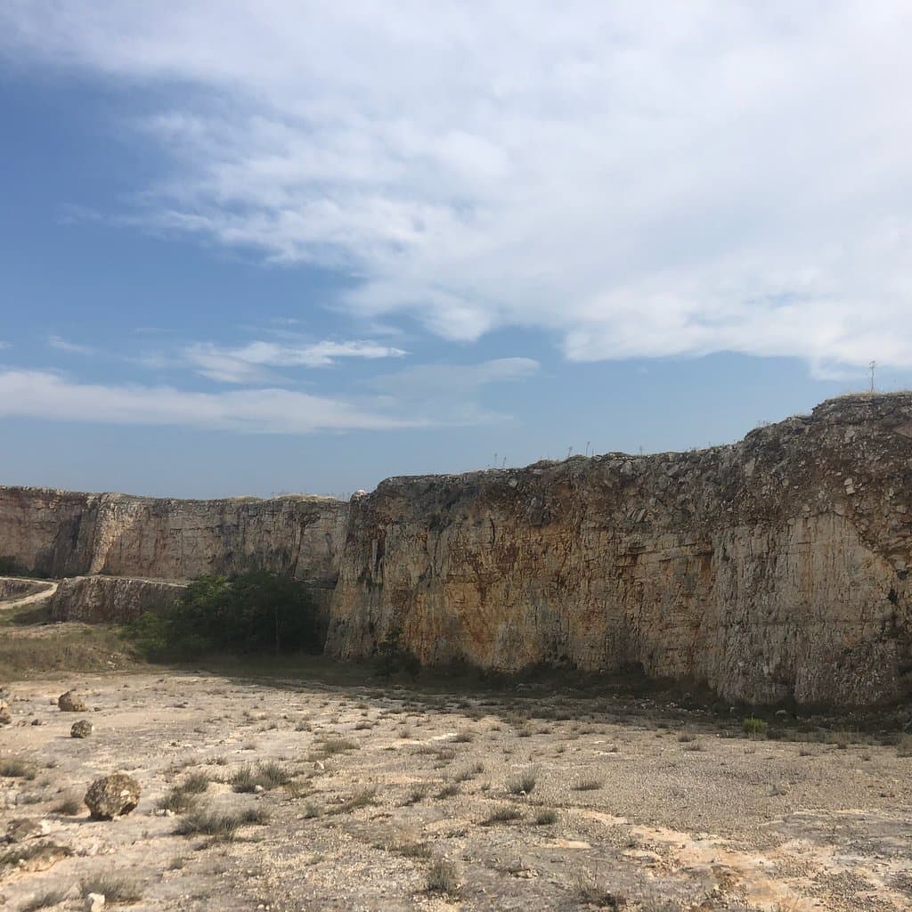 Cava Pontrelli Dinosaur Tracksite