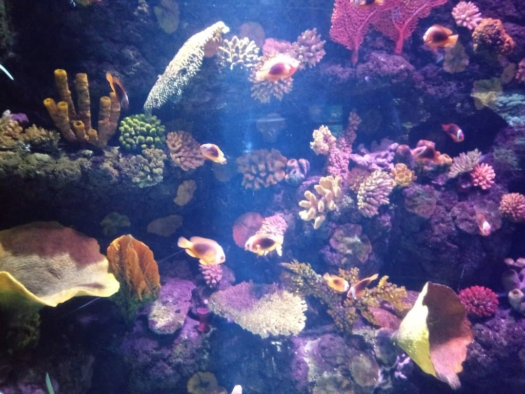 Gardaland SEA LIFE Aquarium