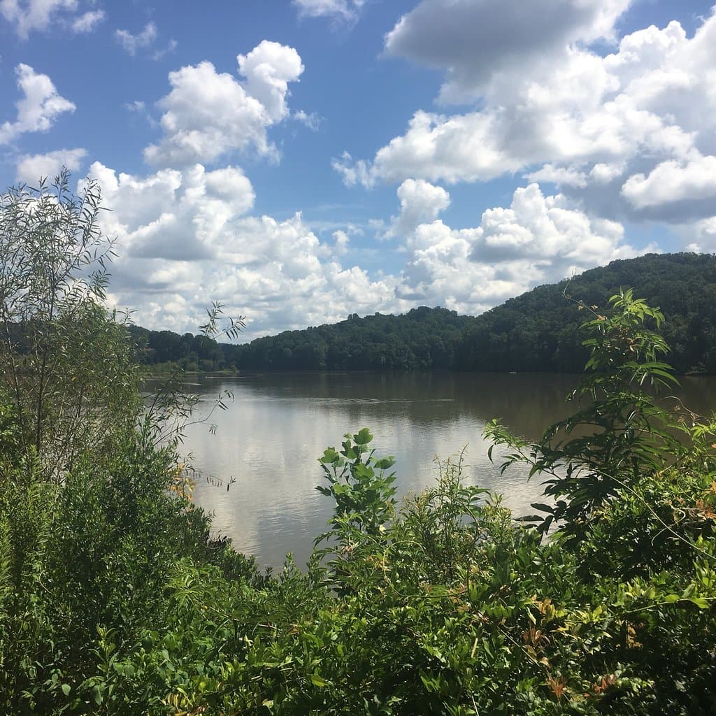 Family Friendly Fun Park