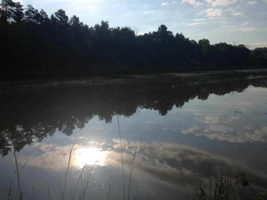 The Cut is good fishing - catfish, perch, bass, drum