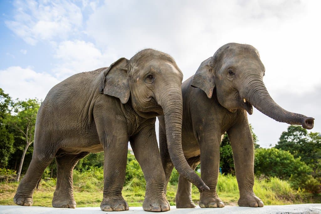 Youngsters Moloair and Nong Pech relax by their pool 