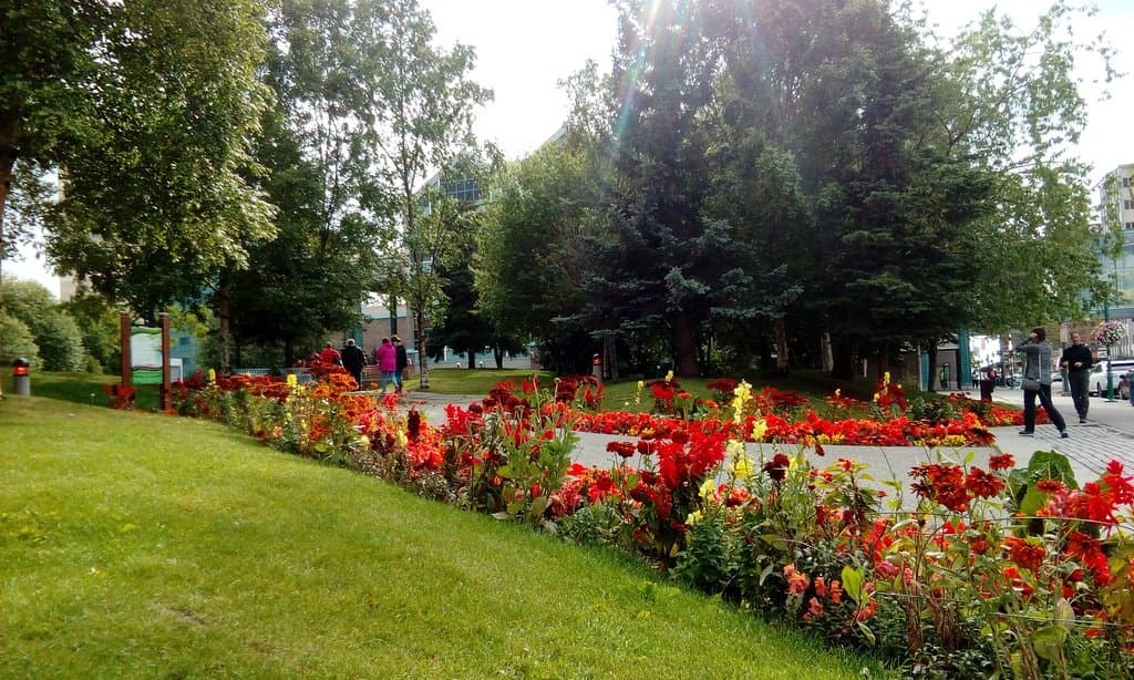Parque