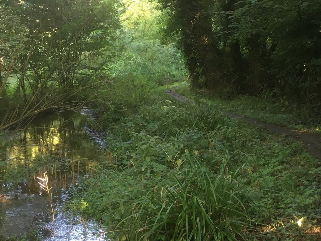 Natural spring, you can hear it gently burbling along