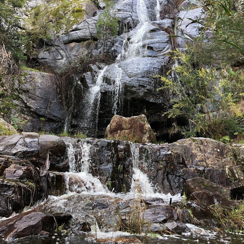 Clematis Falls