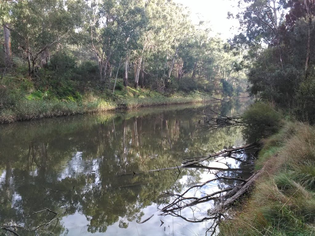 Near Stiggants Reserve
