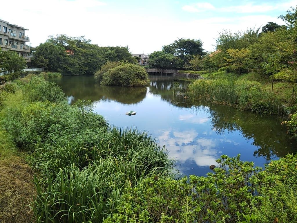 Imaizumi Meisui Sakura Park