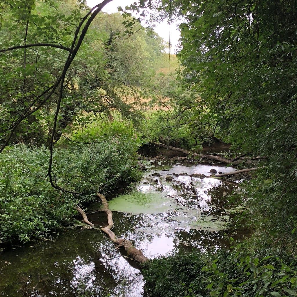 Brockadale Nature Reserve