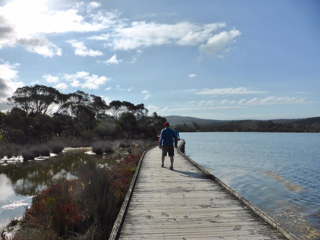 Wooden boardwalk has a safety edge most of the way