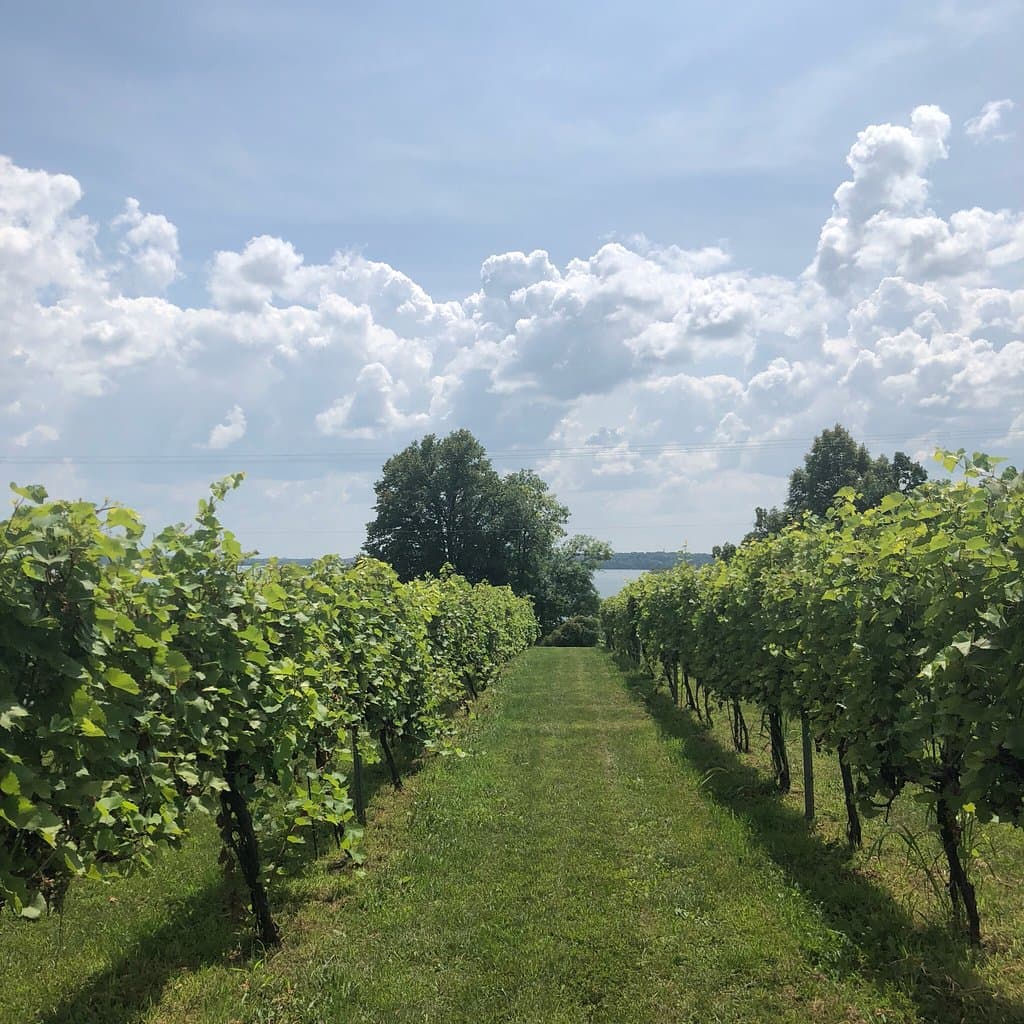 Sovereign Estate Winery