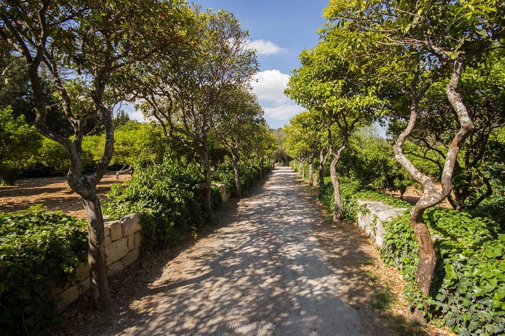 Buskett Gardens