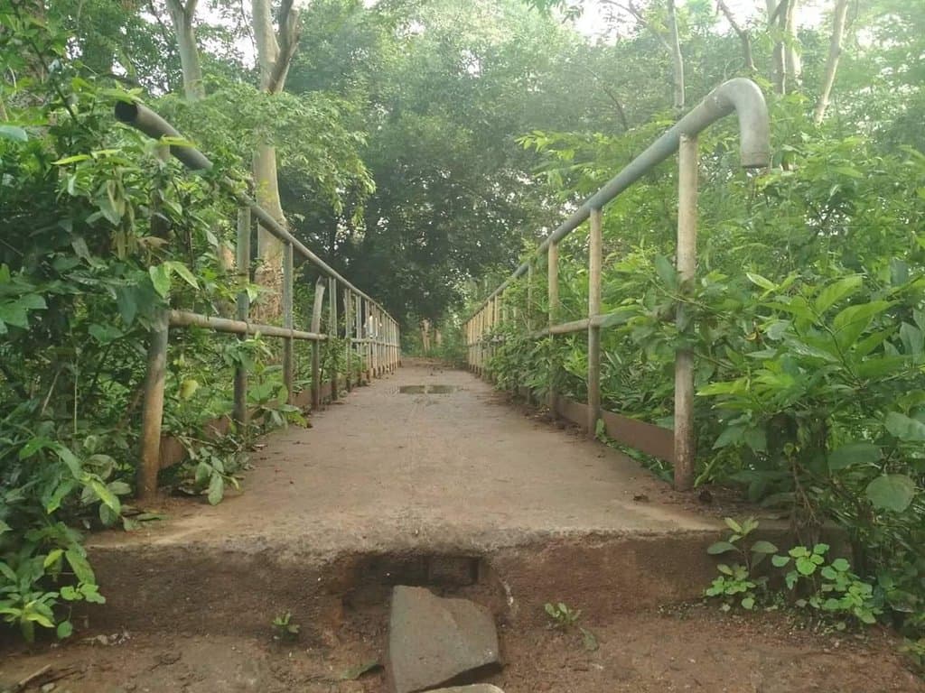 City Park Bokaro Steel City