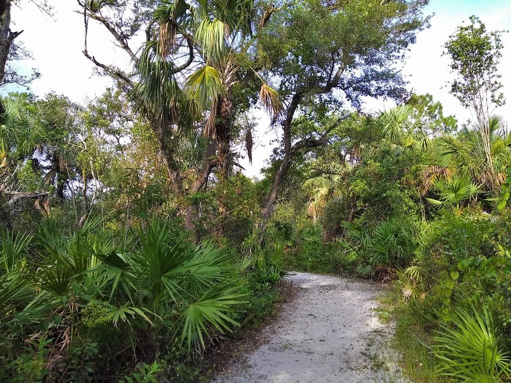 Très bon sentier!