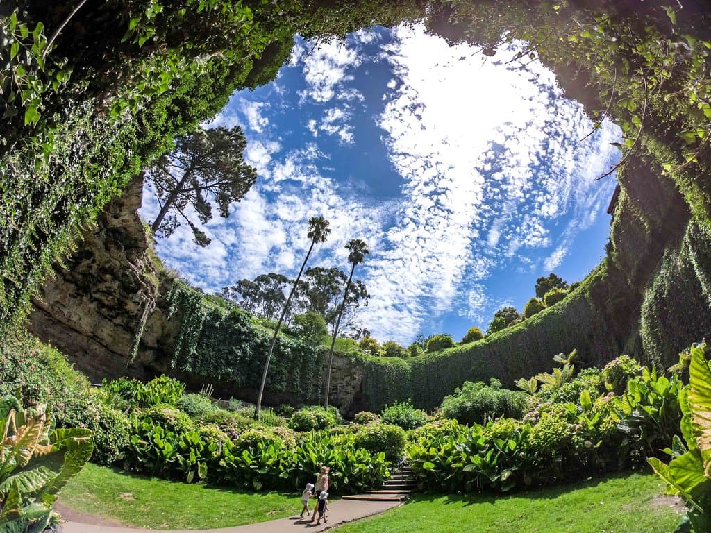Umpherston Sinkhole - another one of Mother Nautres ​wonders. A must see in South Australia.
