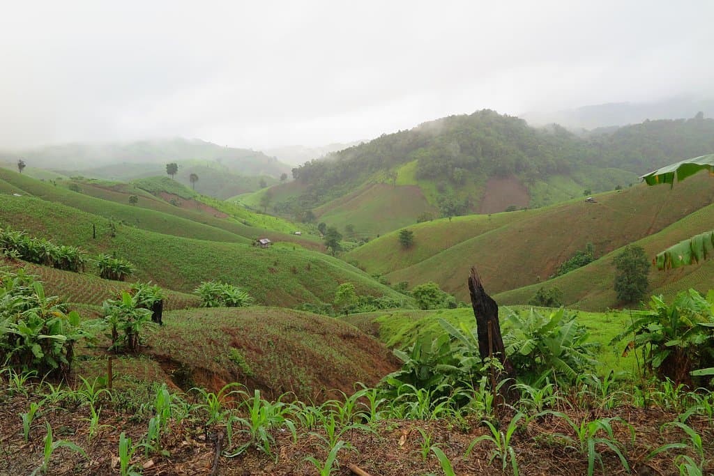 เห็นภาพเหล่านี้แล้วข้าพเจ้า รู้สึกหดหู่มากครับกลายเป็นเขาหัวโล้นไปหมดแล้วครับ