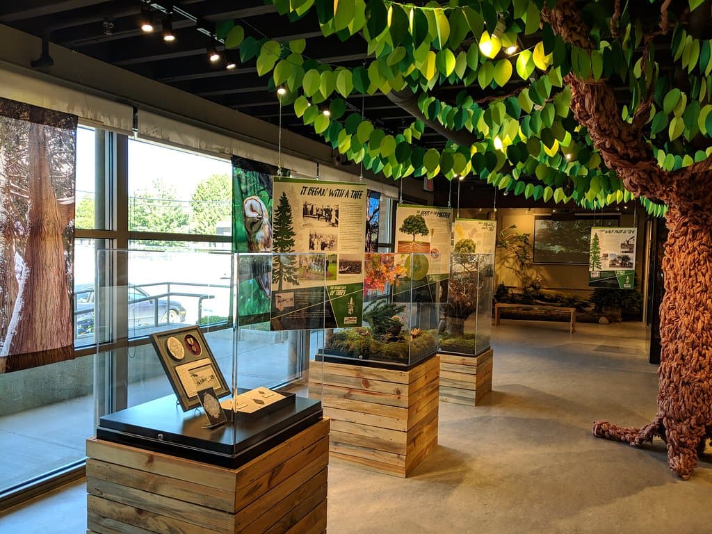 The Carol Hubbard Memorial Natural History Exhibit: The Secret Life of Trees, Aug 2018 - Aug 201