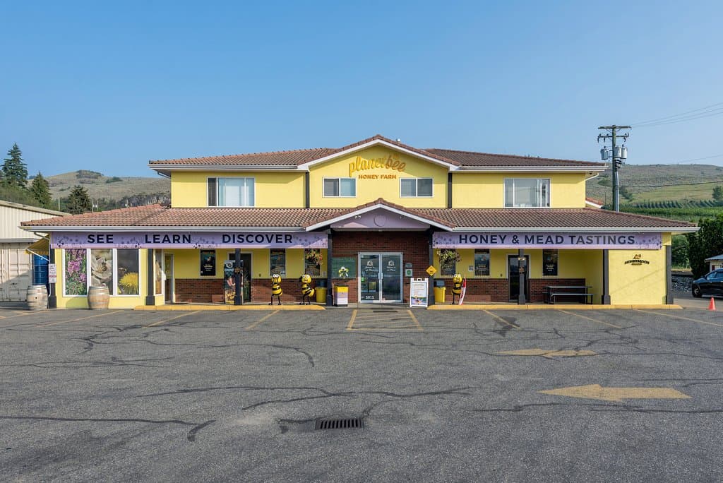 Welcome to Planet Bee!