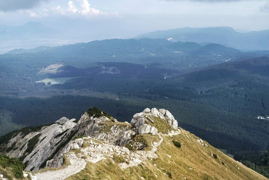 Viševnik