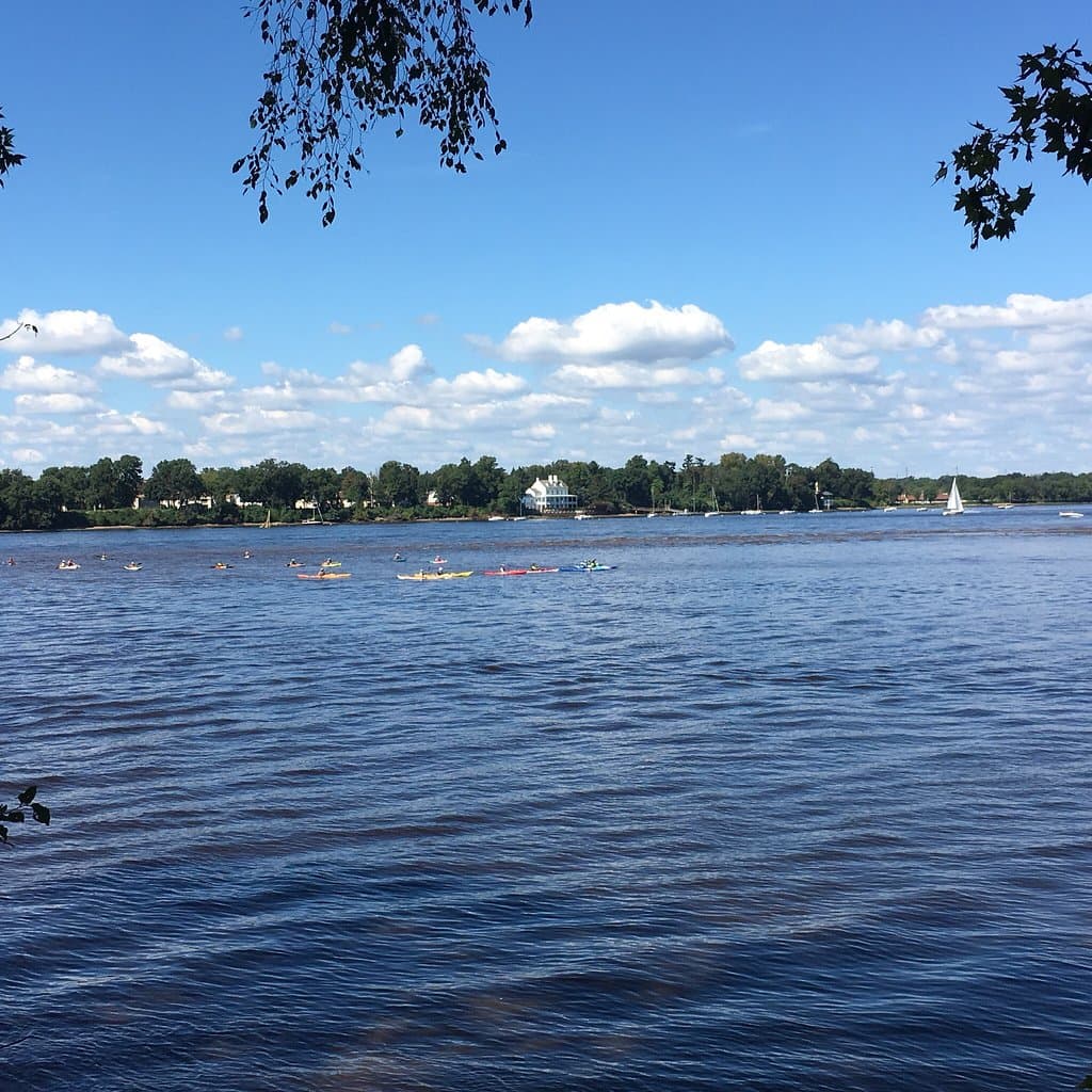 Amico Island Park