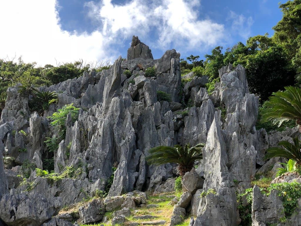 A typical view of the karst formations