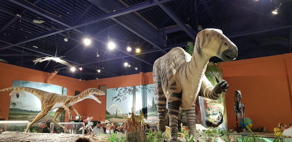 Dinosaur Isle