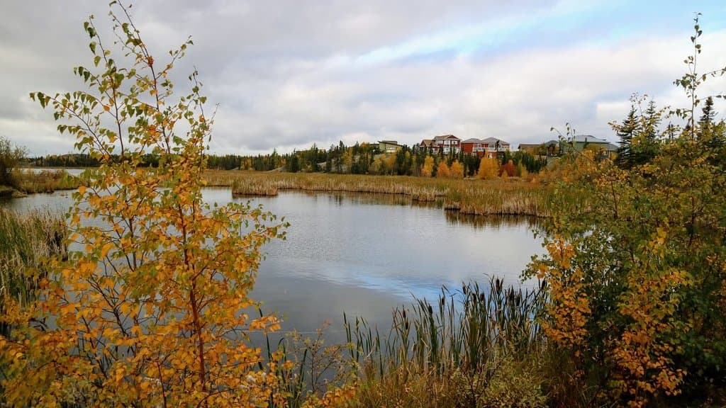 Niven Lake Trail
