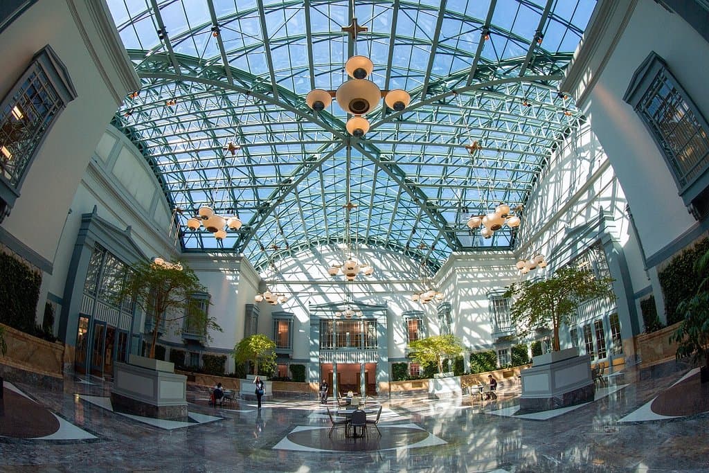 Winter Garden