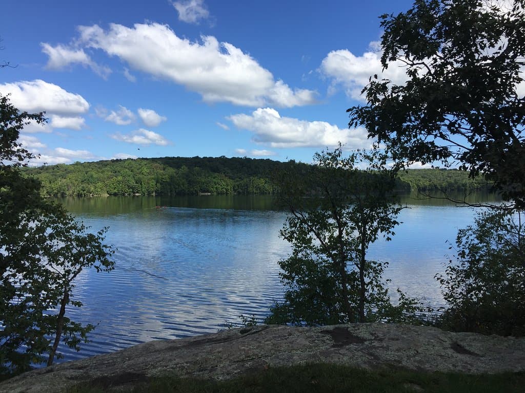 View of the reservoir from the trails near the parking lot.