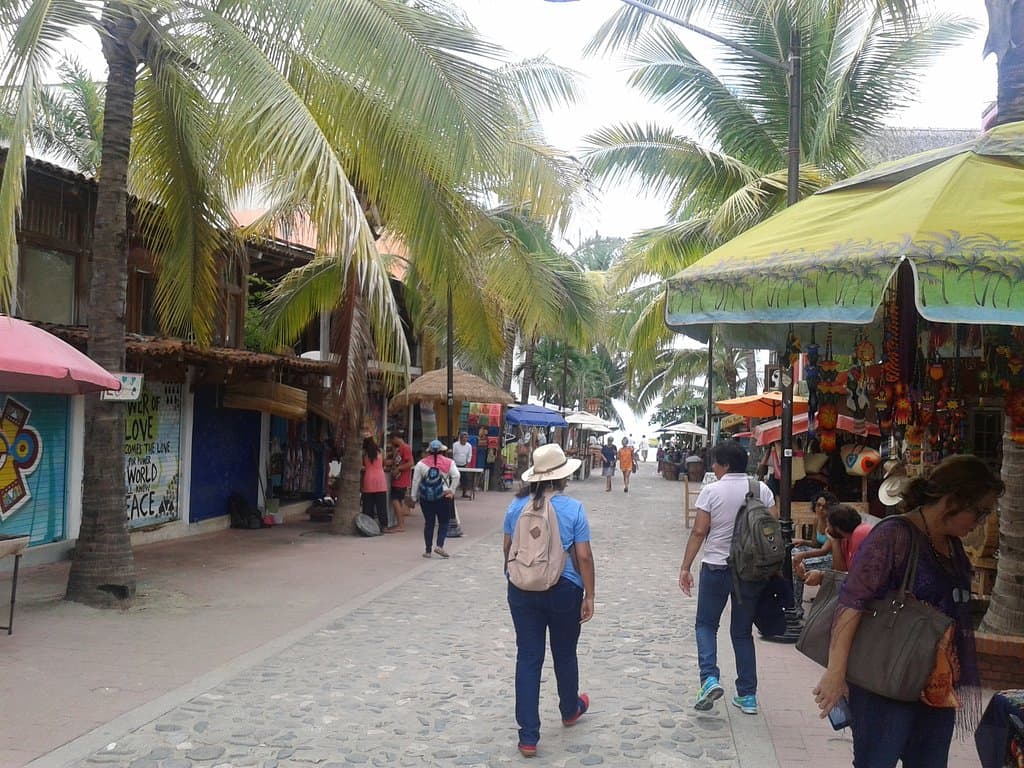 Sayulita Farmers Market/Mercado del Pueblo