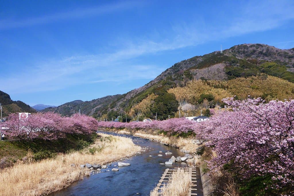 Kawazu hiking