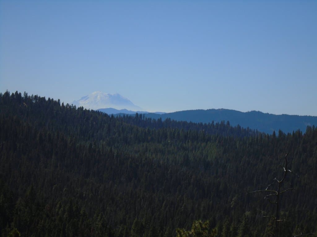 Mount Rainer from signpost 20 lookout.