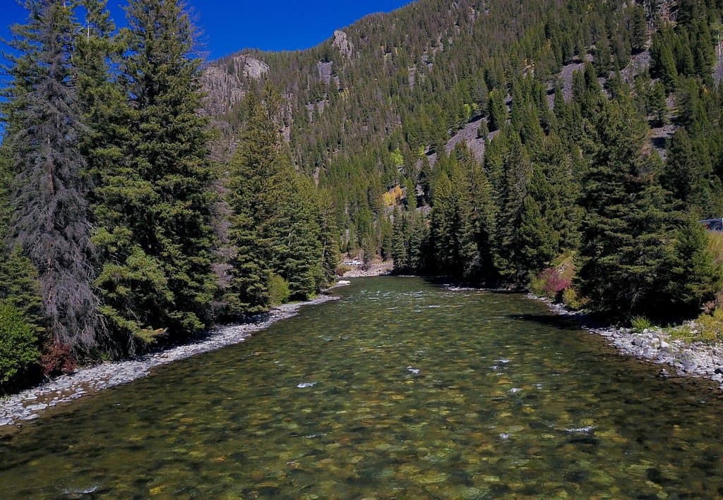 An awesome stream along the route.