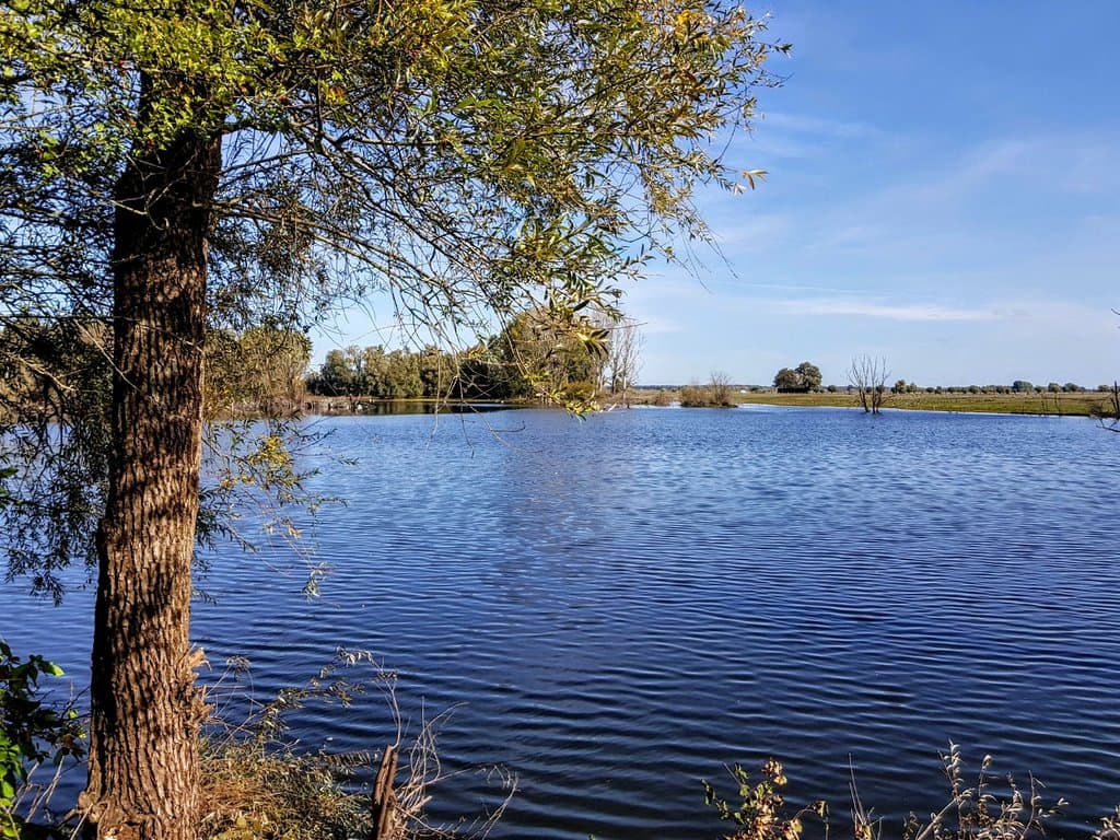Isle of Bislich Nature Reserve (Bislicher Insel)