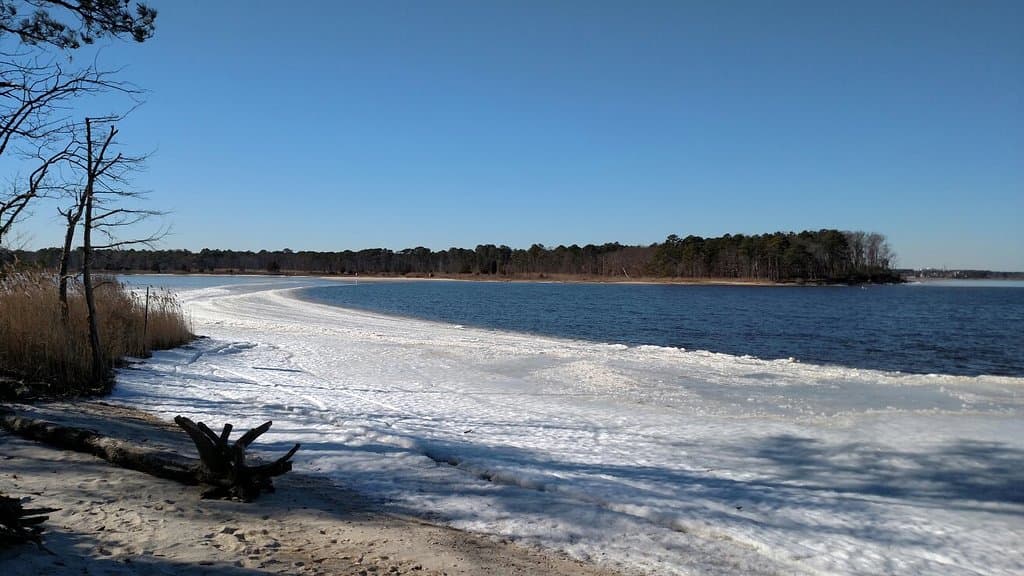 Cattus Island County Park