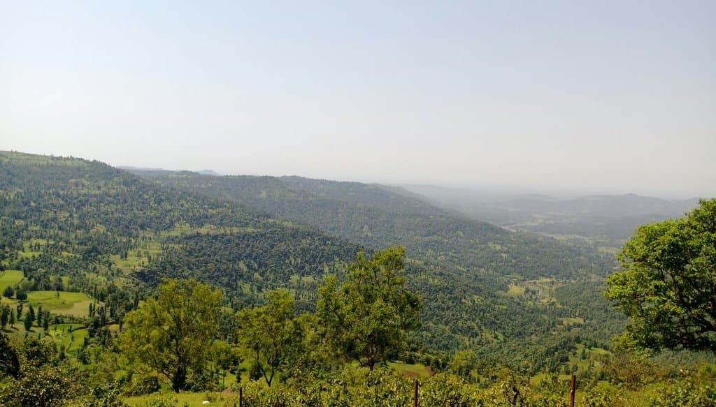 Wilson Hills Garden Wilson Hills