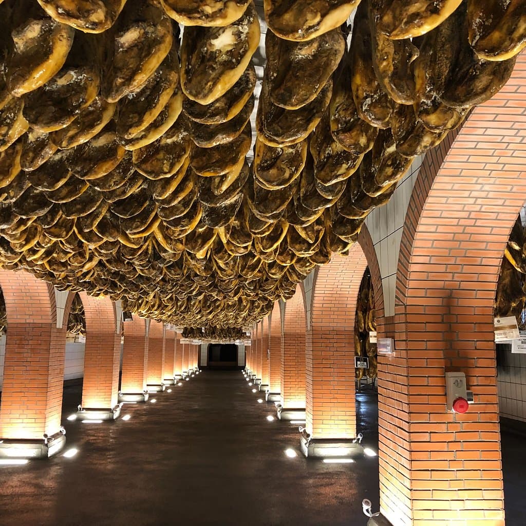 Cinco Jotas Curing Cellars Jabugo