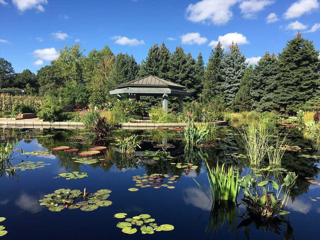 Treborth Botanic Garden
