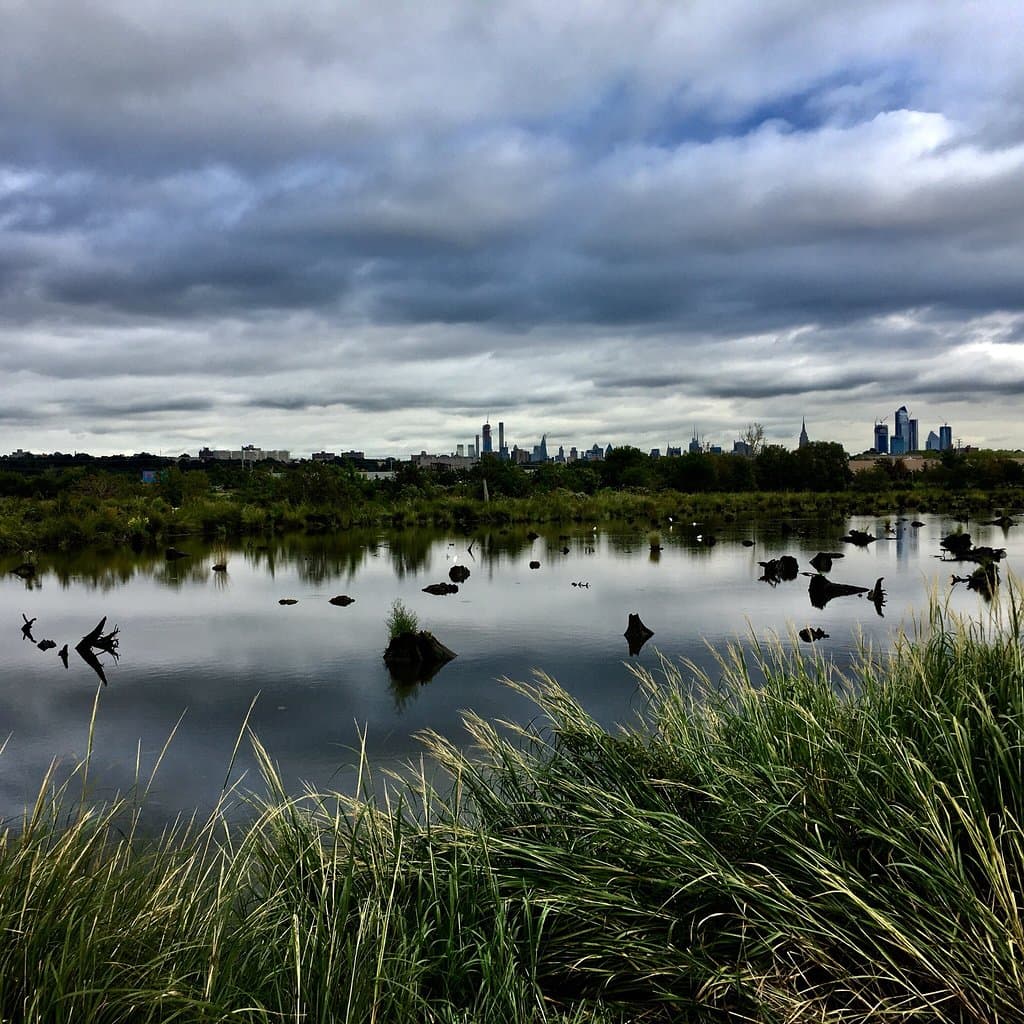 Mill Creek Marsh Trail