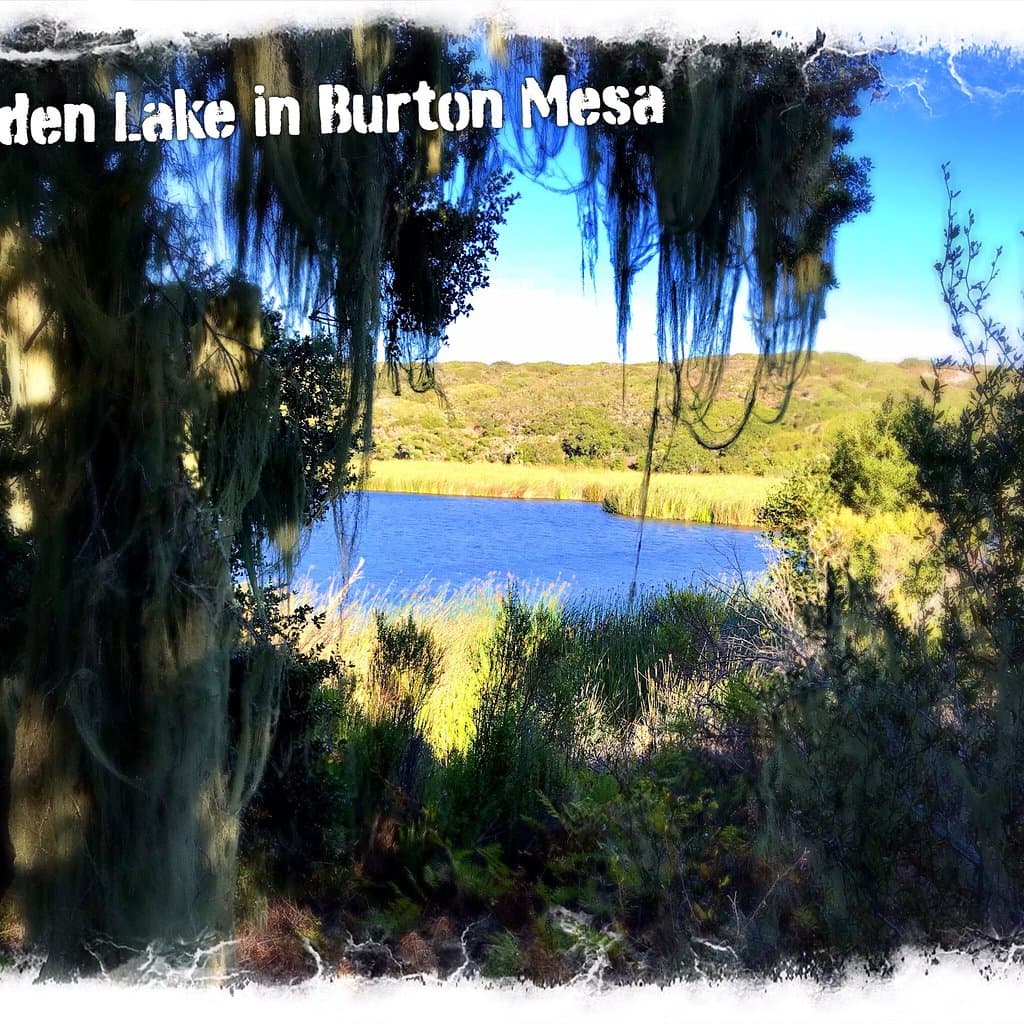 Burton Mesa Ecological Reserve