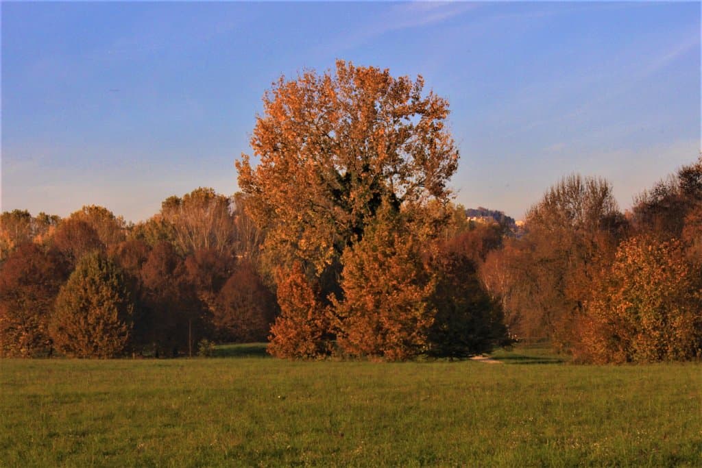 Autunno al Parco delle Vallere