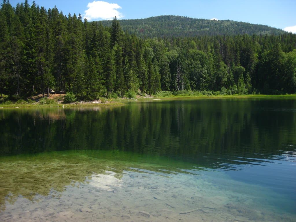 Hking in Seven Sisters park.