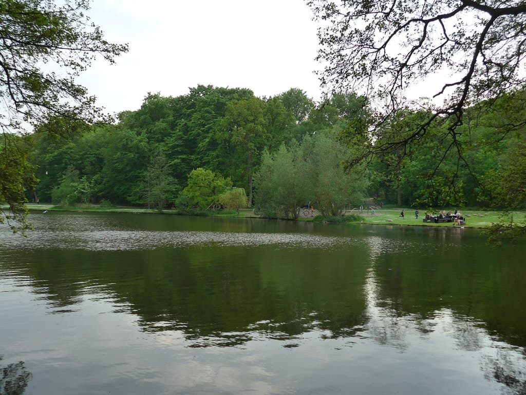 Odense, Skovsoen