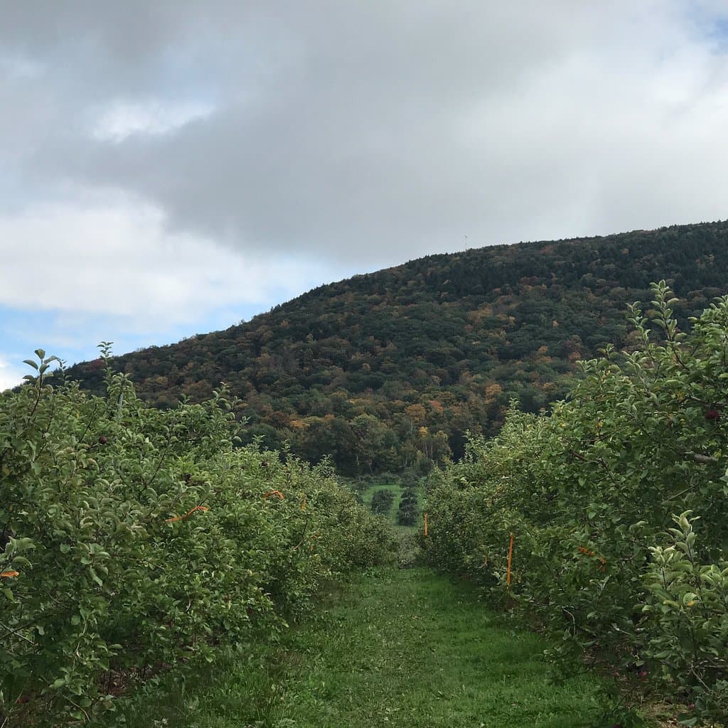 Bartlett's Orchard