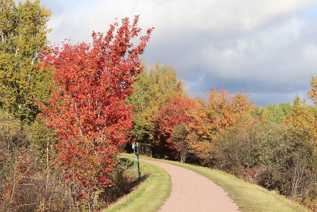 Confederation Trail West Prince